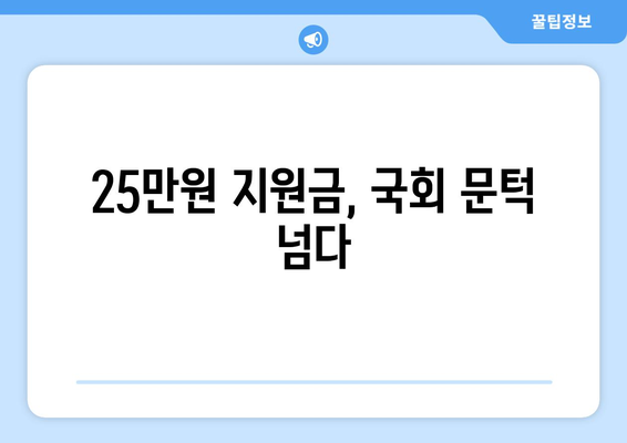 이재명의 25만원 지원금 법안, 국회 통과