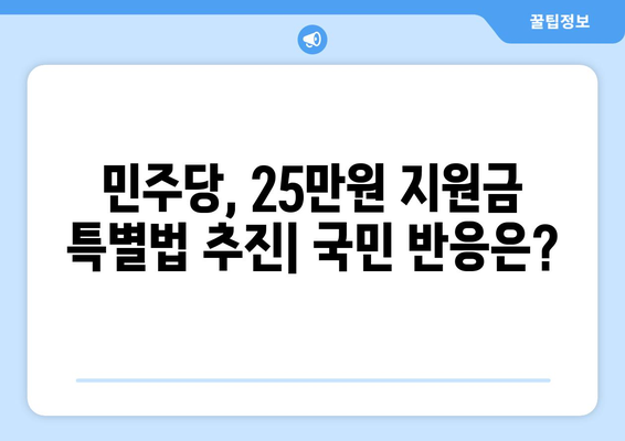 국민 1인당 25만 원 지원금, 민주당 특별법 추진