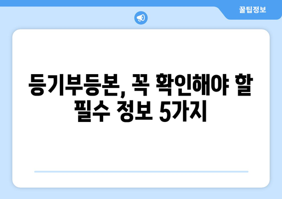 전세 사기 예방 첫걸음! 등기부등본 제대로 보는 법