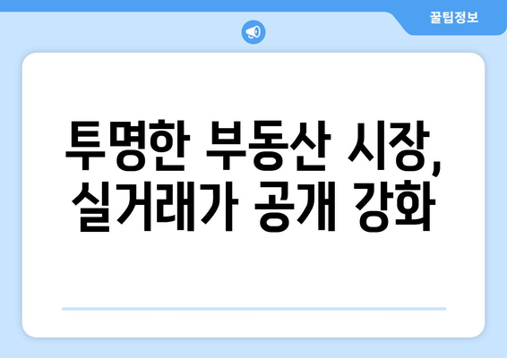 부동산 거래관리 시스템 변경: 실거래가 공개 개선