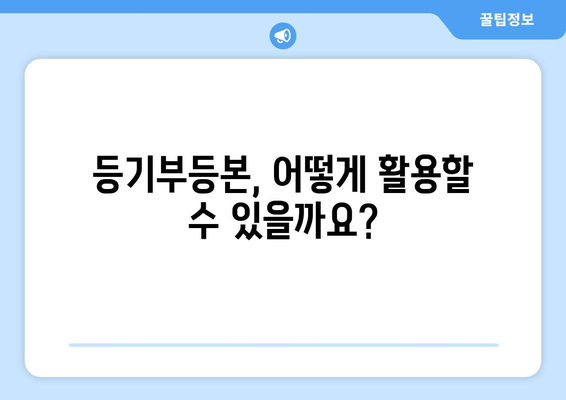 부동산 등기부 등본 열람과 발급 절차 가이드