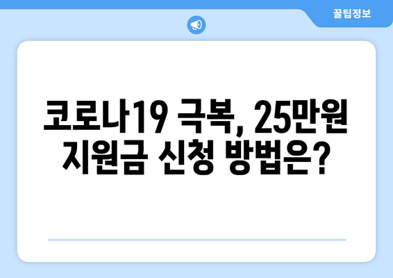 코로나19로 어려워진 가계 지원: 25만원 민생지원금