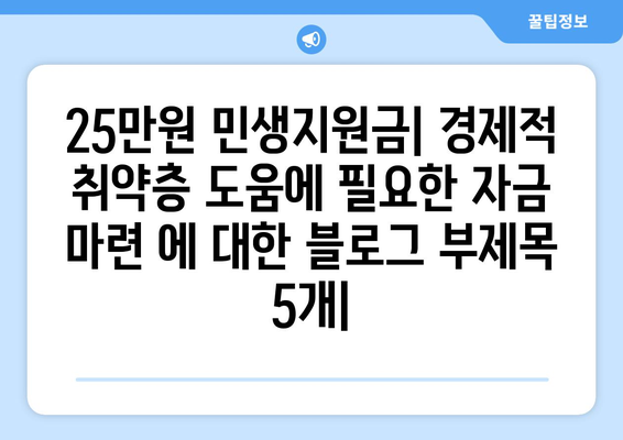 25만원 민생지원금: 경제적 취약층 도움에 필요한 자금 마련