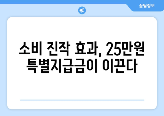 25만원 특별지급금: 가계 소득 증가에 기여