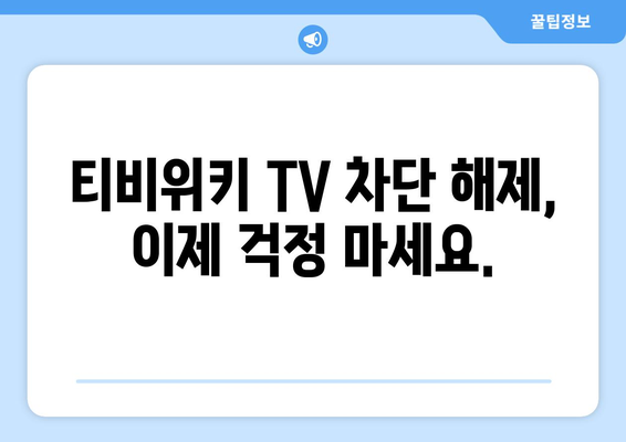 티비위키 TV 우회 방법 공개