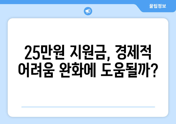 정부의 25만원 민생지원금: 재정적 부담 완화하기