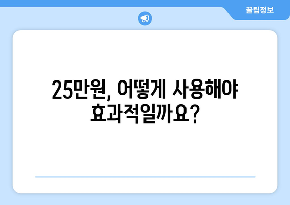 25만원 민생지원금: 경제적 취약층 도움에 필요한 자금 마련