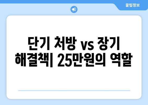 소비 침체 타파를 위한 25만원: 임시 방편인가 지속적인 해결책인가?