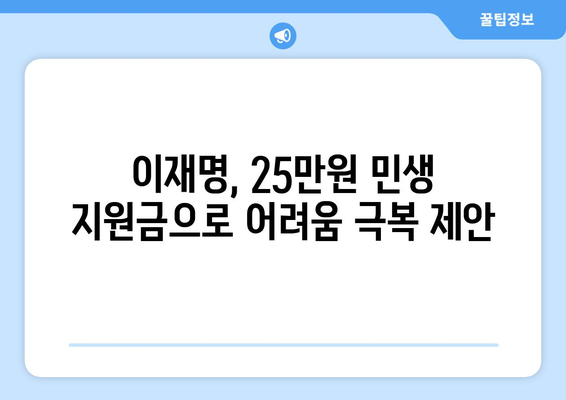 1인당 25만원 민생 지원금: 이재명의 제안