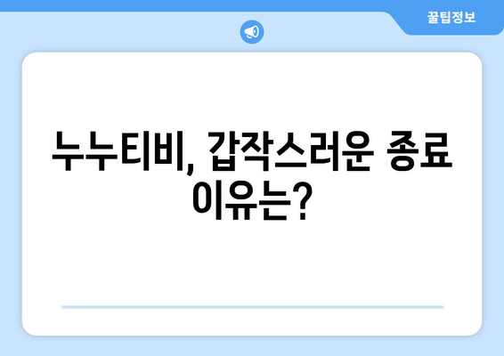 누누티비 종료 이유와 자체 앱 폐쇄 배경