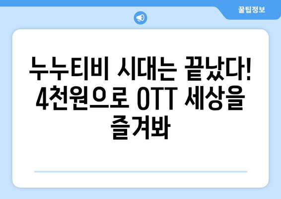 누누티비 없는 시대, 한달 4천원으로 OTT 시청하기