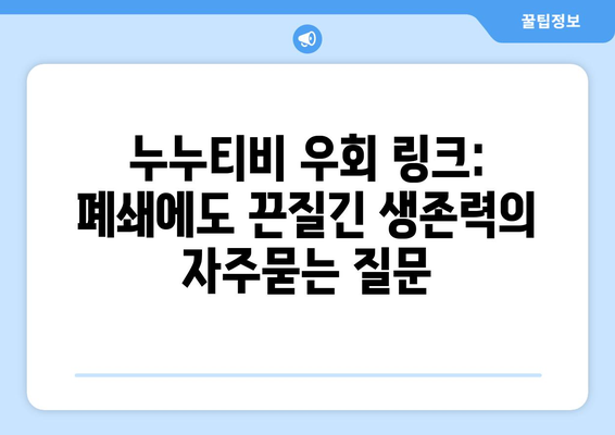 누누티비 우회 링크: 폐쇄에도 끈질긴 생존력