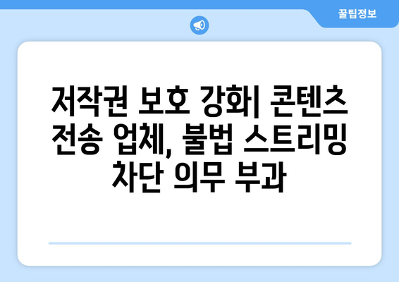 불법 스트리밍 사이트 예방: 10억 콘텐츠전송 업체에 의무 부과