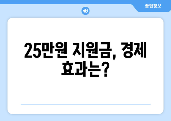 민생회복지원금 25만원 발행 가능성