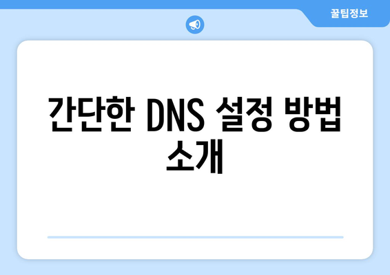 티비위키 주소 우회를 위한 DNS 설정 방법