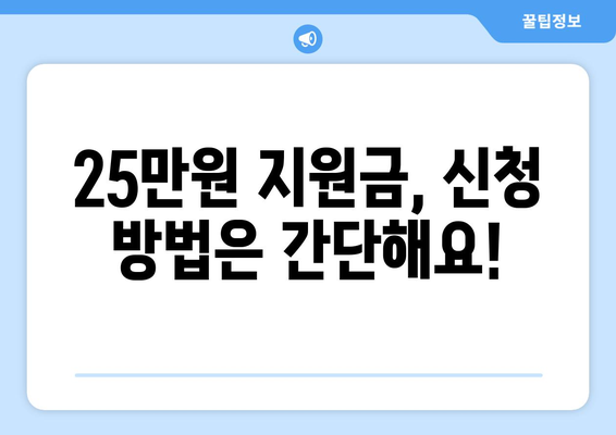 25만 원 민생 지원금: 전국민 신청 방법과 주의 사항