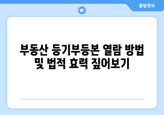 부동산 등기부등본 열람 방법 및 법적 효력 짚어보기