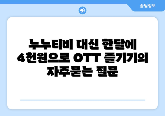 누누티비 대신 한달에 4천원으로 OTT 즐기기