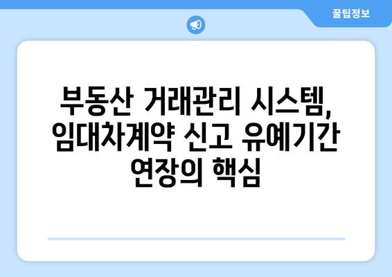 주택 임대차계약 신고 유예기간 연장: 부동산 거래관리 시스템 활용