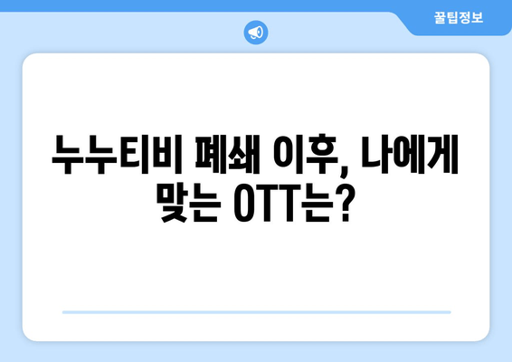 누누티비 폐쇄 이후 대안 OTT 서비스 리뷰