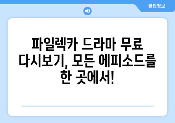 드라마 파일렉카에서 무료로 다시보기