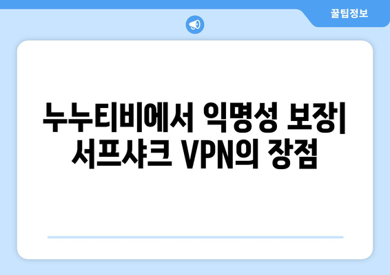 누누티비, 서프샤크(Surfshark) 안전 VPN 기능 소개