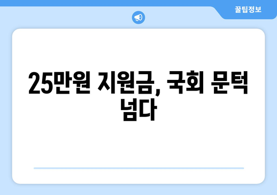 이재명의 25만원 지원금 법 국회 통과