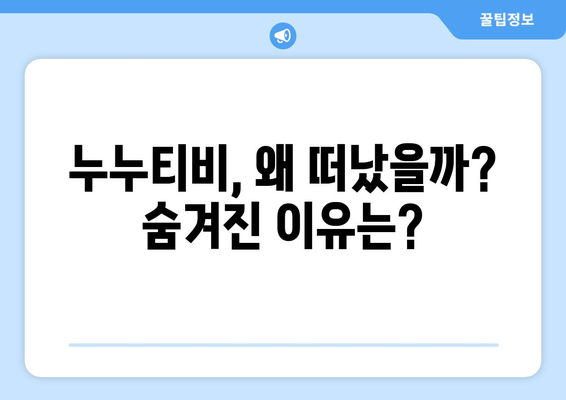 누누티비 서비스 종료: 논란 끝인가?