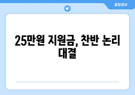 1인 시위로 반대하는 25만원 민생 회복 지원금