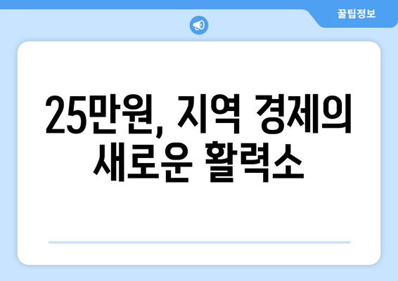 25만원 시장권 지원금을 활용한 지역 경제 활성화