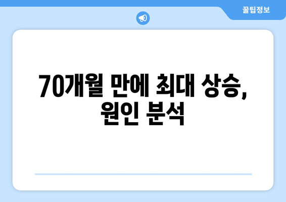 서울 아파트값 70개월 만에 최대 상승: 0.28% 상승의 의미 | 주택 시장 동향