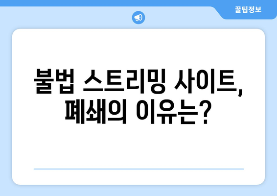 넷플릭스 대체책? 불법 스트리밍 사이트 누누티비 종료