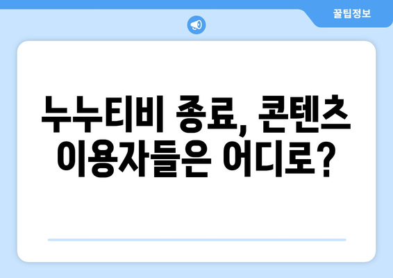 넷플릭스 대체책? 불법 스트리밍 사이트 누누티비 종료