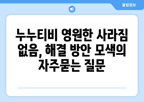 누누티비 영원한 사라짐 없음, 해결 방안 모색