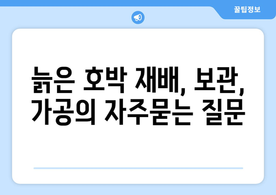 늙은 호박 재배, 보관, 가공