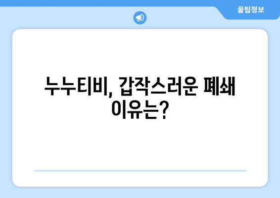 누누티비 서비스 종료 이유: 폐쇄와 앱 발표