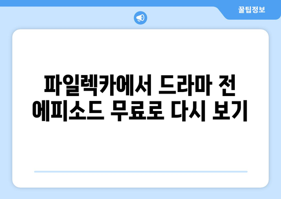 드라마 전 에피소드 무료로 다시 볼 수 있는 파일렉카