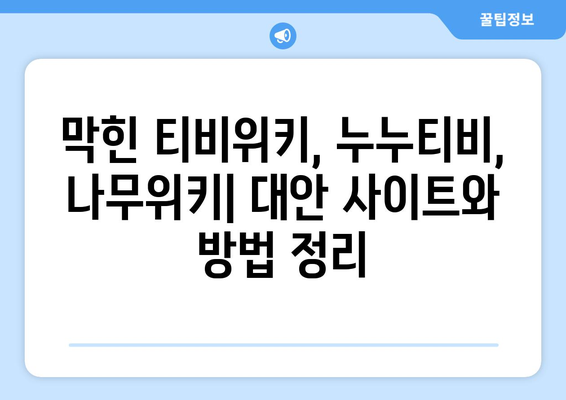 티비위키, 누누티비, 나무위키: 강제 폐쇄 후 무료 다시 보기 방법