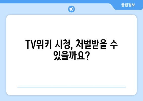 TV위키 최신 주소 확인 방법 4가지 (우회 대체 사이트, 시청 처벌)