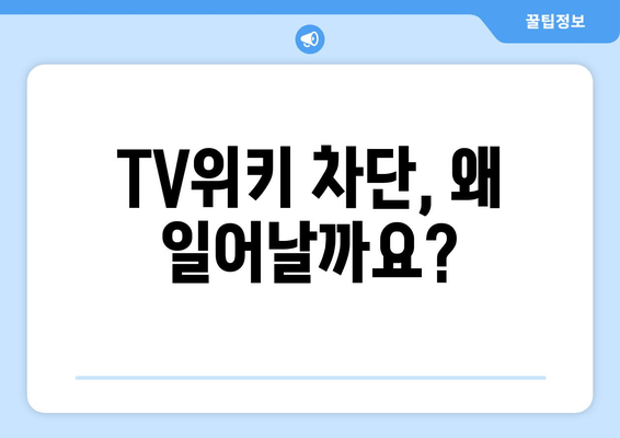 TV위키 주소 우회 및 접속 방법