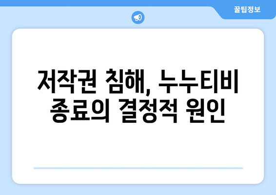 누누티비 종료 원인 분석