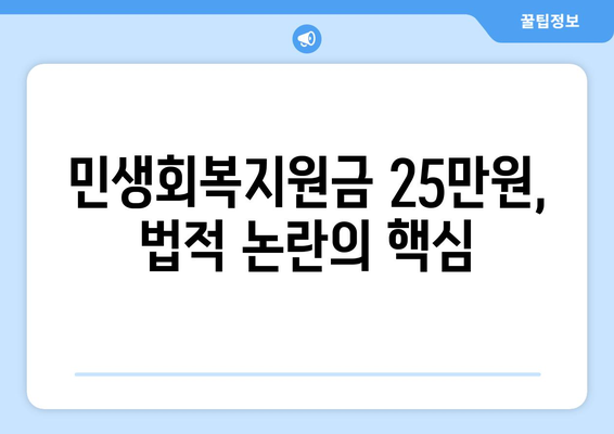 민생회복지원금 25만원을 둘러싼 법적 논란과 쟁점