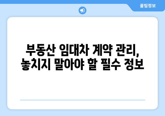 부동산 임대차 계약 관리와 부동산거래관리시스템: 완전 가이드