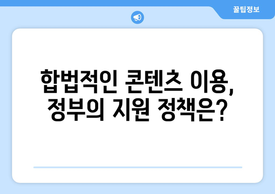 누누티비 차단 이후, 정부의 대응