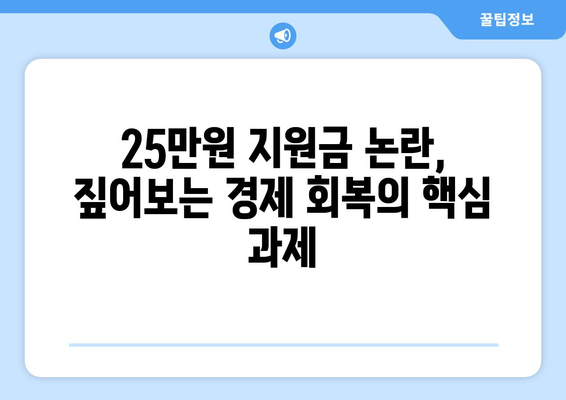 25만 원 지원금 대안: 경기 부양을 위한 제안