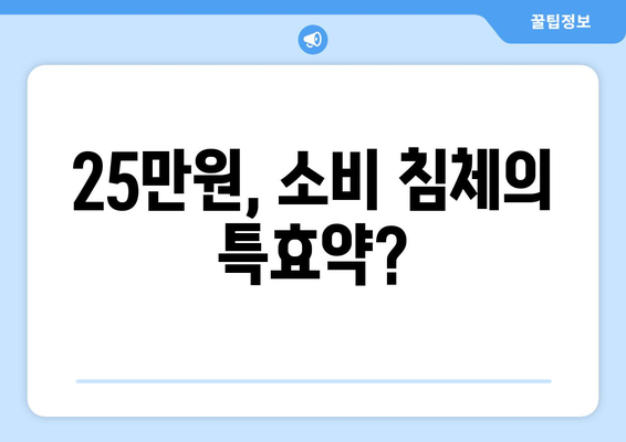 소비 침체 타파를 위한 25만원: 임시 방편인가 지속적인 해결책인가?