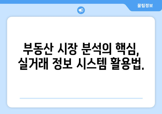 부동산 거래관리시스템으로 실거래 정보 관리하기