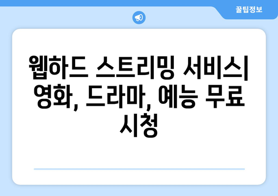 티비위키 대신 웹하드 스트리밍 서비스 활용