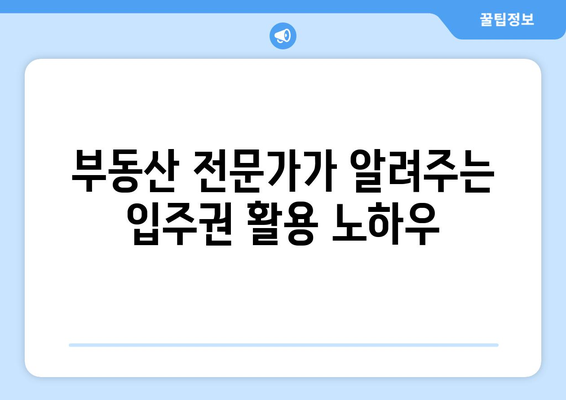 재개발 수익률 100%! 부동산 전문가의 입주권 활용법