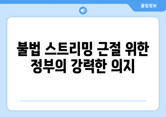 누누티비 재발 방지 정부 차원 대책 추진